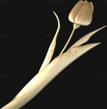3D model Tulip (STL)